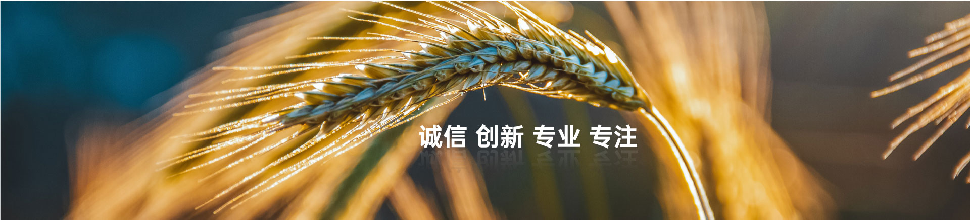 顧客至上，信譽(yù)第一